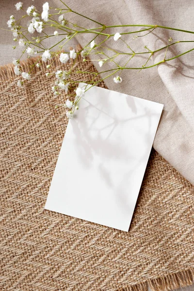 Cartão Papel Branco Flores Fundo Bege Quente Neutro Sutil Delicada — Fotografia de Stock
