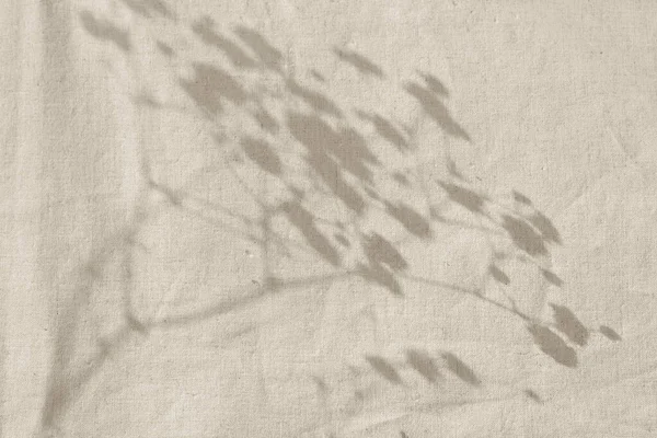 Esthetische Minimalistische Neutrale Achtergrond Met Zonlicht Schaduwen Een Beige Textiel — Stockfoto