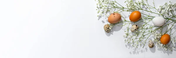 Elegante Design Site Páscoa Modelo Banner Ovos Cor Natural Flores — Fotografia de Stock