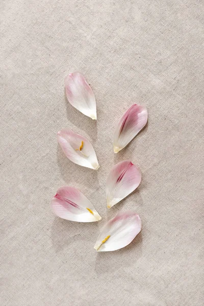 Aesthetic Minimalist Beauty Nature Concept Flower Petals Neutral Linen Beige — Stock Photo, Image