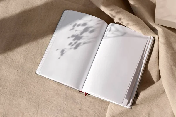 Nötr Bej Arkaplan Üzerinde Boş Notlar Çiçekli Güneş Işığı Gölgeleri — Stok fotoğraf
