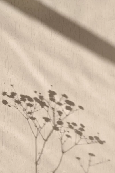Blume Verschwommenes Sonnenlicht Schatten Auf Neutralem Beigem Textil Ästhetisch Minimalistischer — Stockfoto