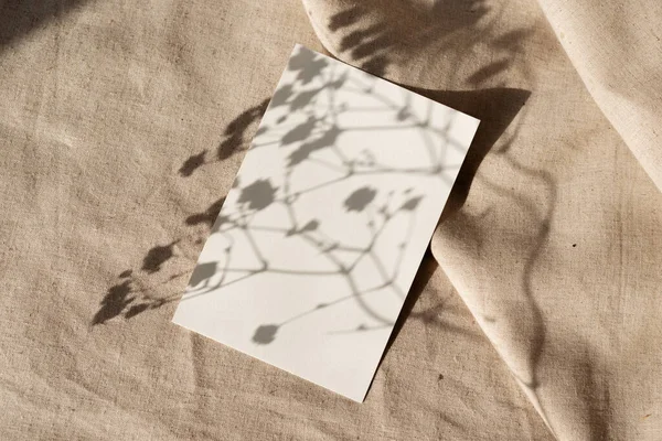 Cartão Papel Branco Com Luz Solar Dura Estética Sombras Florais — Fotografia de Stock