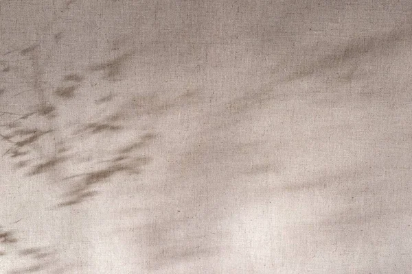 Abstrakte Florale Schatten Auf Neutralem Beigem Leinenhintergrund Sonnenreflexe Der Wand — Stockfoto