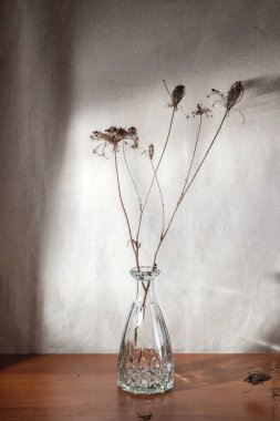 Dry meadow flowers in glass vase on wooden table, aesthetic sunlight floral shadows on a neutral beige wall, minimalist modern interior design concept clipart