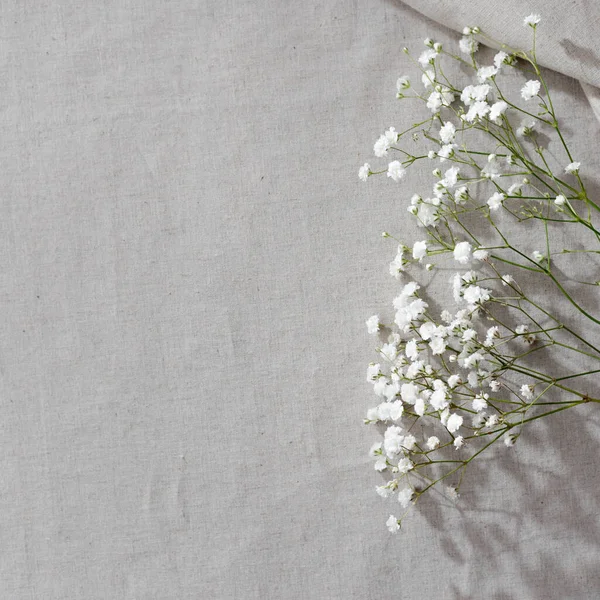 Эстетический Минималистский Цветочный Естественный Фон Белый Цветок Гипсофилы Нейтральной Бежевой — стоковое фото