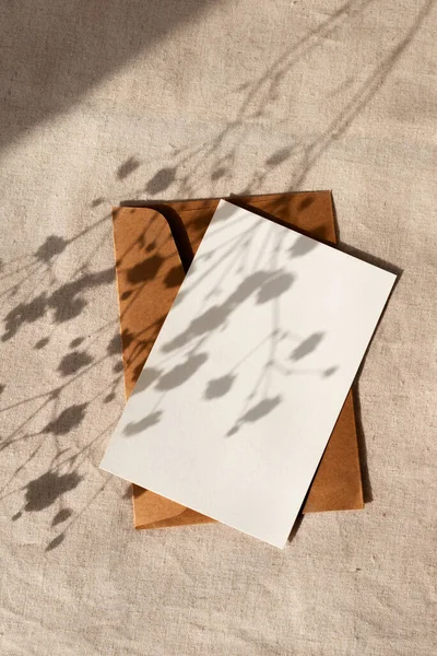 Cartões Papel Branco Com Espaço Cópia Mockup Sombras Luz Solar — Fotografia de Stock