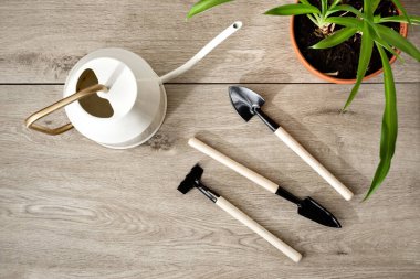 Bahçe aletleriyle minimalist kompozisyon: sulama tenekesi, küçük maça ve bej ahşap arka planda tırmık, ev bitkisi, ev içi bahçe konsepti