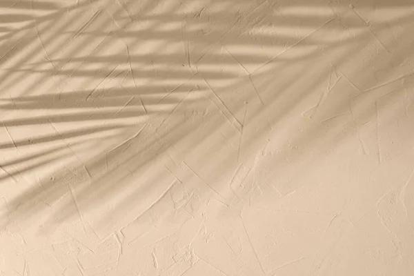 Minimalist Estetik Yaz Arkaplanı Sıcak Bej Alçı Desenli Duvardaki Tropik — Stok fotoğraf