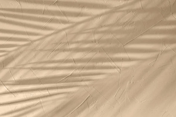 Rozmyte Światło Słoneczne Cień Tropikalnych Liści Palmy Beżowym Tynku Teksturowana — Zdjęcie stockowe
