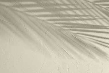 Açık yeşil yaz çiçekli arka plan, desenli bir duvarda tropikal palmiye güneş ışığı gölgeleri, minimalist estetik sürdürülebilir, fotokopi alanı olan ekoloji tasarımı