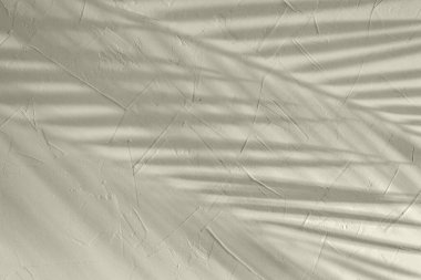 Zarif soluk yeşil yaz arka planı, desenli bir duvarda tropikal palmiye yaprağı gölgesi, güneş ışığı gölgeli sürdürülebilir tasarım şablonu.,