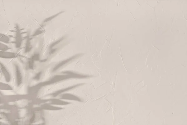 Эстетические Цветочные Листья Солнца Тени Света Солнца Нейтральном Бежевом Текстурированном — стоковое фото