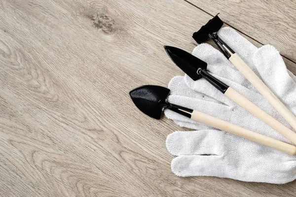 小型手工工具 用于在米色木制背景上的室内园艺工作 耙和手套 具有复制空间 家庭植物护理和成长概念 — 图库照片