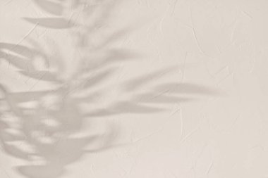 Bitki yapraklarının minimalist estetik güneş ışığı gölgeleri, nötr bej beton duvar zemininde zarif yeşillik silueti, kopyalama alanı