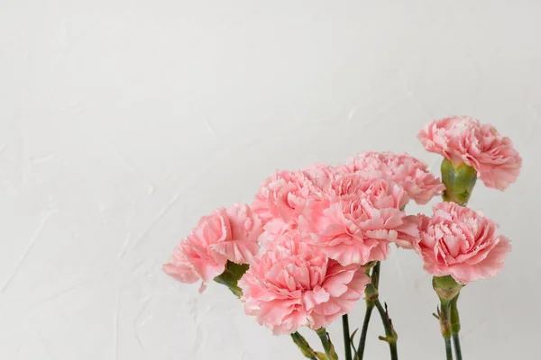 Beyaz Tarafsız Bir Arkaplanda Pembe Karanfil Buketi Neşeli Bir Çiçek — Stok fotoğraf