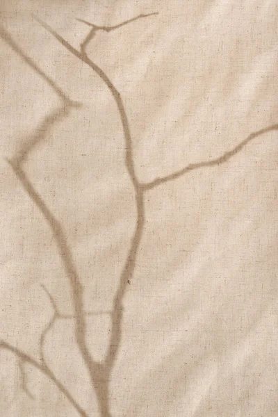 Abstrakcyjne Światło Słoneczne Cienie Gałęzi Drzew Beżowej Tkaninie Lnianej Estetyczne — Zdjęcie stockowe