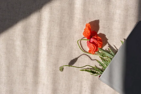 Aesthetic neutral summer still life background with empty copy space, closed book with red poppy flower bookmark on a linen beige textile with abstract sunlight shadows, summer concept