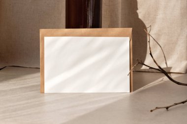 Minimalist zarif, basit bir marka şablonu, taklit alanı olan boş bir kağıt kartı, güneş ışığı gölgesi olan doğal bir yaşam tarzı.