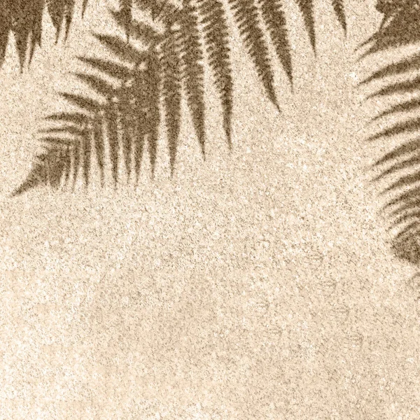 Eğreltiotu Yapraklarının Güneş Işığı Gölgeleri Bej Granit Taş Dokusunda — Stok fotoğraf
