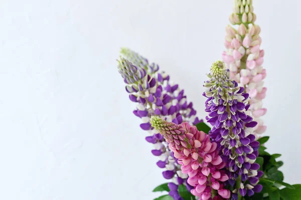 Festliches Rosa Und Violettes Bluebonnet Blumenbouquet Auf Leicht Neutralem Hintergrund — Stockfoto