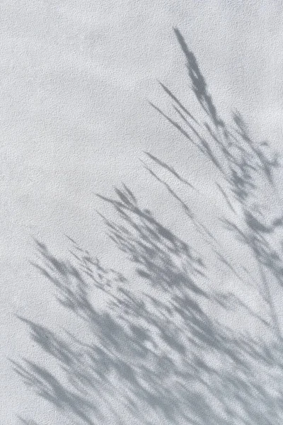 Floral Sonne Licht Schatten Auf Einem Hellblauen Kreppseide Textur Tuch — Stockfoto