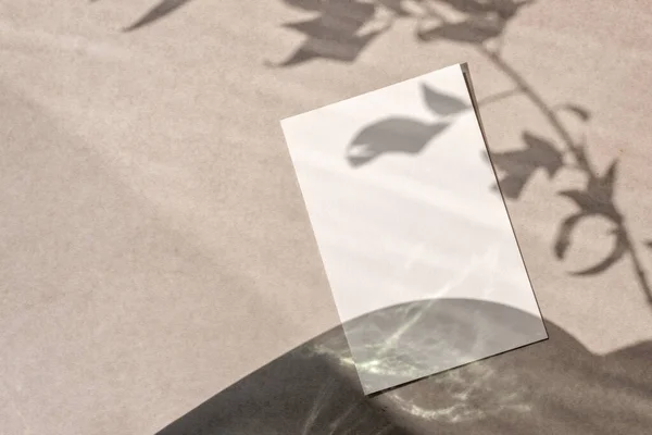 空白纸质卡片在中性米色背景下 带有抽象的花卉阳光阴影 审美简约的婚宴邀请函 商业品牌模板 复制空间 — 图库照片
