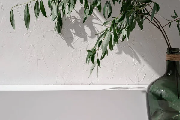 Пустая Белая Гипсовая Текстурированная Стена Сцена Подиуме Зеленая Стеклянная Ваза — стоковое фото