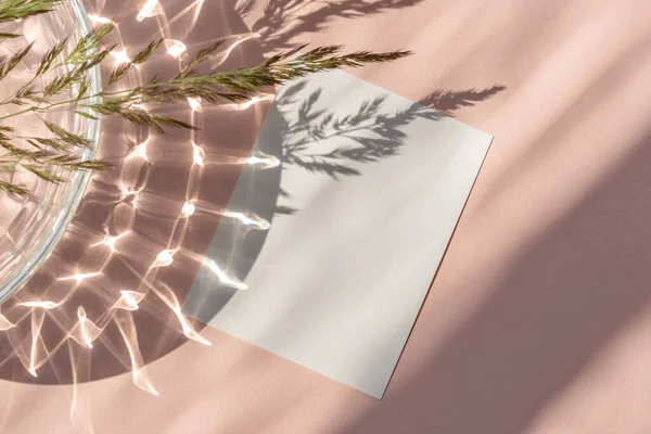 Leere Papierkartenmockup Mit Kopierraum Auf Einem Pfirsichbeigen Hintergrund Mit Ästhetischem — Stockfoto