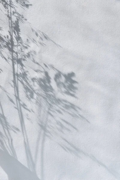 Ästhetische Boheme Hellblauen Textilhintergrund Mit Floralen Sonnenlicht Schatten Wiese Gras — Stockfoto