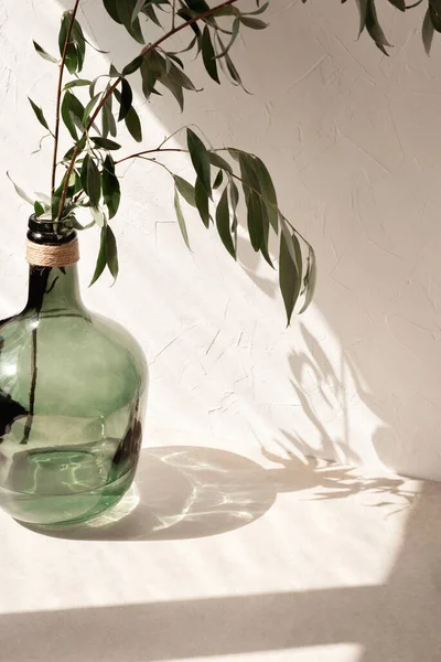 家の部屋のインテリア製品のためのミニマリストテンプレート ベージュの木製のテーブルや床に葉を持つ緑の花瓶 壁に審美的な日光の影 ブランディングデザインショーケースの背景 コピースペース — ストック写真