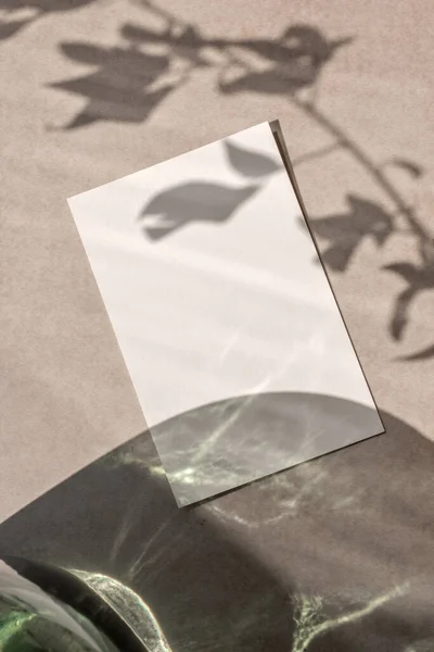可持续企业品牌模板 婚宴邀请设计 带有中性米色背景的带审美花卉阳光阴影的空白纸质卡片模型 — 图库照片