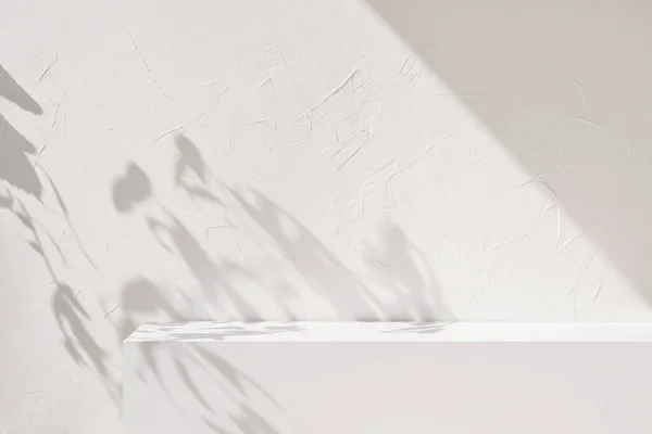 Palco Pódio Bege Luz Neutra Branco Com Estilo Vida Estético — Fotografia de Stock