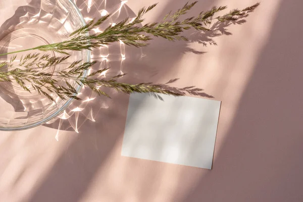 审美生活女性平铺 空白纸卡造型 粉红米色背景上的草甸玻璃 带有抽象的阳光阴影 — 图库照片
