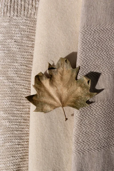 Hellbraune Getrocknete Herbstblätter Über Beigem Cremigem Und Taupe Gestricktem Woll — Stockfoto