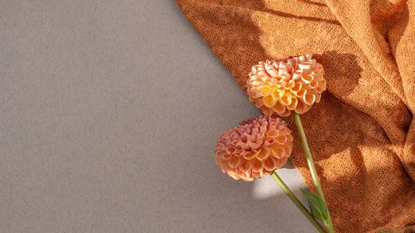 Narancs Dália Virágcsokor Kötött Textil Semleges Bézs Háttér Életmód Napfény — Stock Fotó