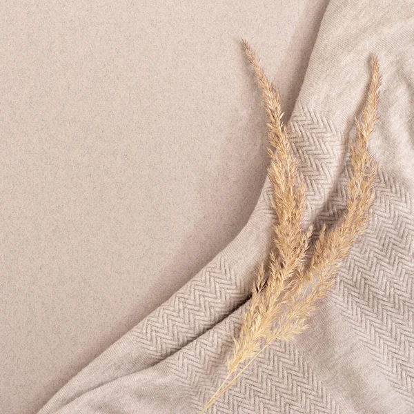 Soft natural aesthetic background, meadow grass and crumpled knitted fabric on a neutral beige backdrop. Elegant boho beauty business social media blog design template, square, copy space