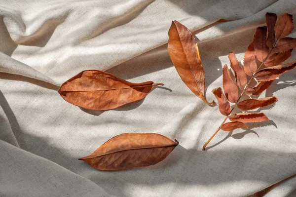 秋天中性的生活方式背景 凌乱的秋天干橙叶落在米色折皱亚麻织物上 有美丽的阳光阴影 — 图库照片