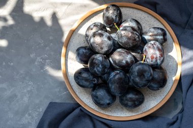 Koyu gri arkaplandaki erikler, estetik çiçekli güneş ışığı gölgeleri.