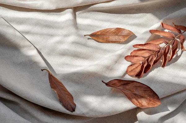 Brown Fall Leaves Neutral Beige Linen Crumpled Fabric Natural Aesthetic — Stock Photo, Image
