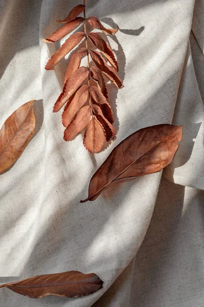 浓密的褐色落叶在中性的米黄色亚麻布上 皱皱的布上有着自然的阳光阴影 审美简约的秋天背景 — 图库照片