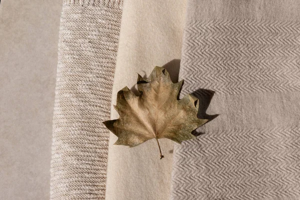 Herbstkleidung Kleiderschrank Neutralen Nudefarben Hellbraun Getrocknetes Herbstblatt Über Beigem Cremigem — Stockfoto