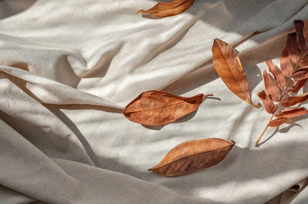 秋天的落叶和自然的阳光阴影在凌乱皱曲的亚麻布背景上 美丽的秋天平铺 商业品牌模板 — 图库照片