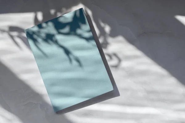 青い空白のカバーが付いている閉鎖したノートは自然な花の太陽の光の影が付いている白いテーブルでモックアップします 美学的なミニマリスト企業のブランディングテンプレート — ストック写真