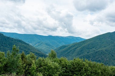 Yeşil kozalaklı ormanlı dağlar, bulutlu gökyüzü. Güzel manzaralı doğa manzarası, Karpat Dağları, Ukrayna ülkesi.