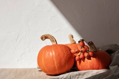 Sonbahar kırsal dekorasyonu, masada turuncu balkabakları, doğal güneş ışığı gölgesi olan boş duvar arkaplanı..
