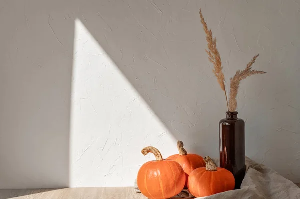 Minimal aesthetic autumn still life with pumpkins and vase with grass on table, with sunlight shadow on empty wall background. Rustic kitchen vegetable decor, food product placement, showcase.