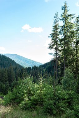 Yeşil ormanlı, dağlı, gökyüzlü ve bulutlu manzara manzarası.