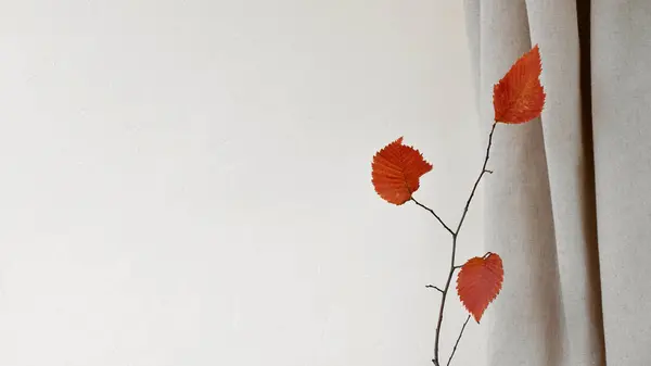 Minimal Autumn Background Empty Warm White Wall Neutral Beige Linen — Stock Photo, Image
