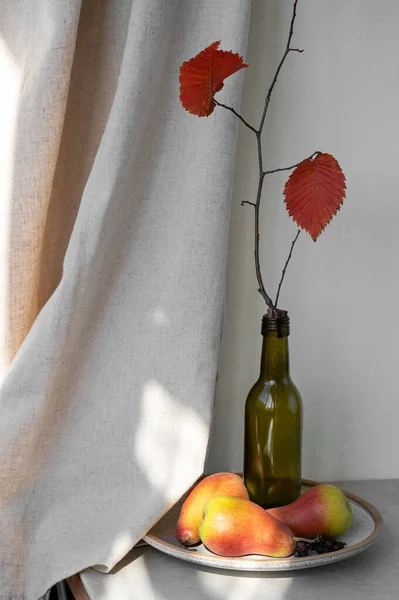 Aesthetic fall still life, pears on plate, bottle with tree branch with red leaves on table, neutral beige linen curtain background with natural sunlight shadows.